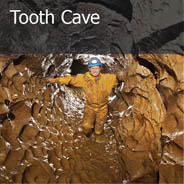 Tooth Cave