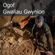 Ogof Gwaliau Gwynion